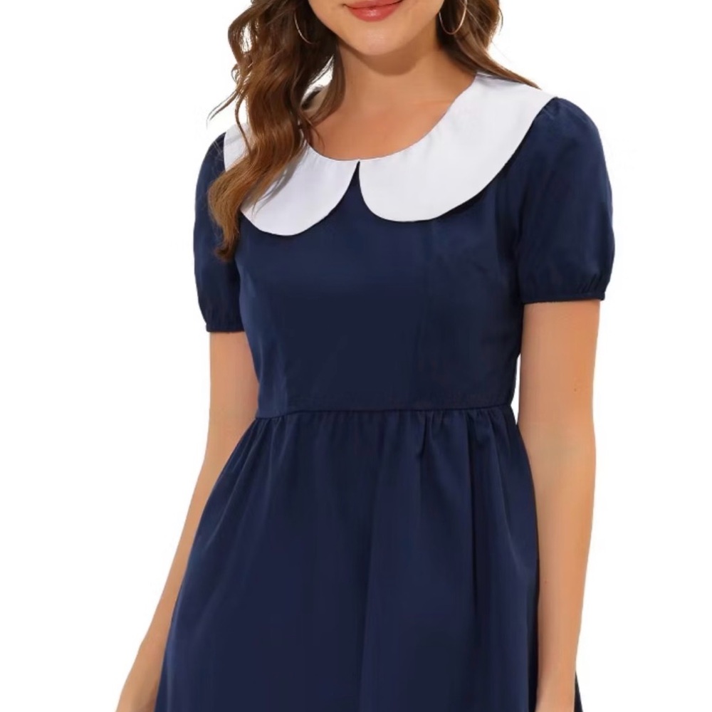 Allegra K Navy Dress with White Collar